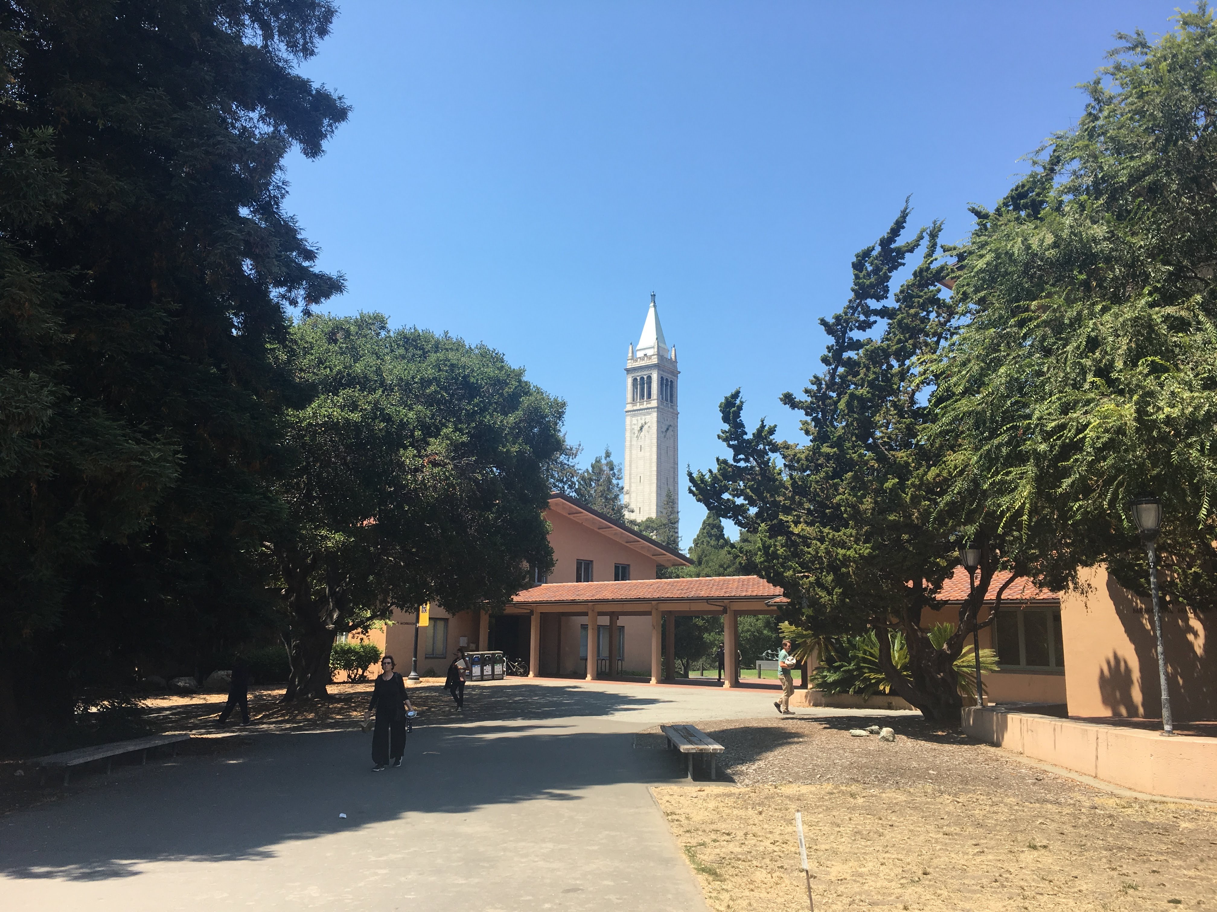 Berkeley's Sather Tower campanile rises above trees and a tiled-roof building on a sunny campus path.