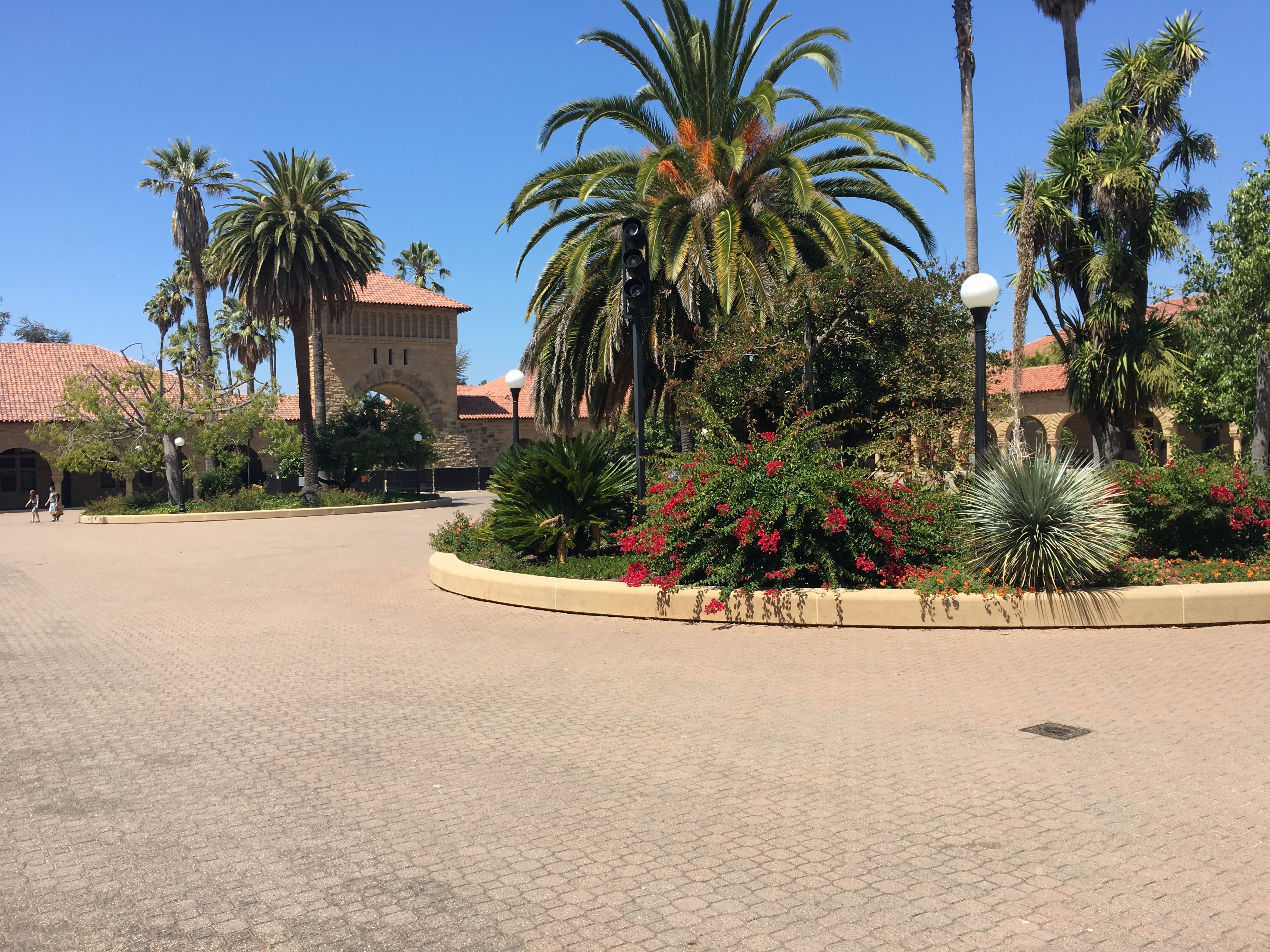 Palm-lined Stanford entrance courtyard with a stone archway and a flowering planted island.