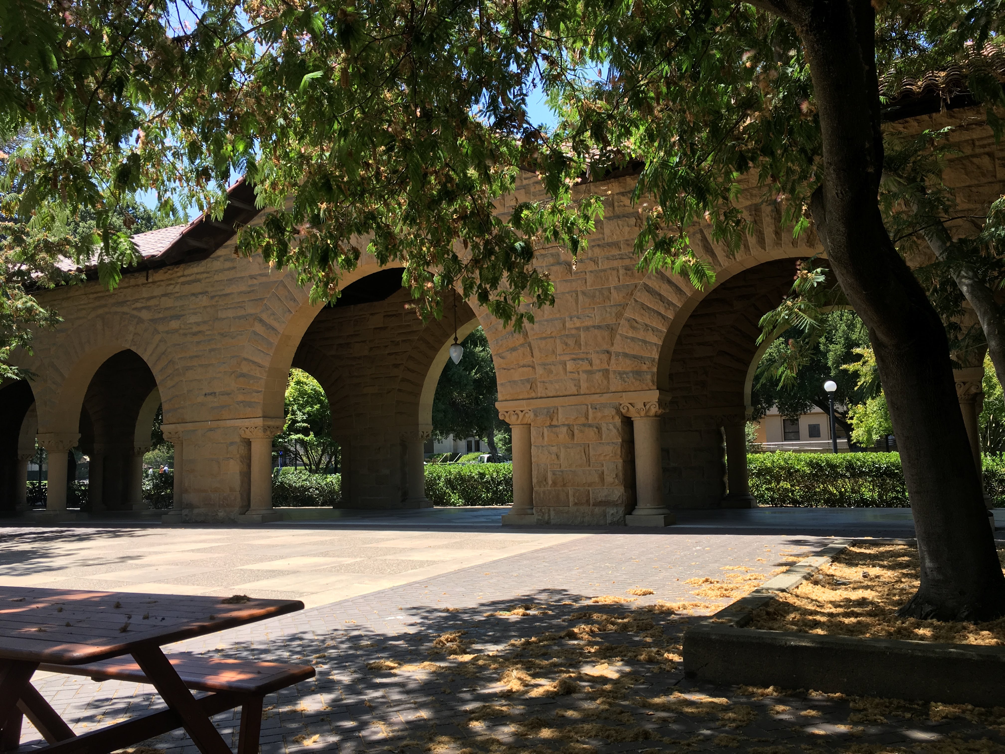 Sandstone arcade of arches at Stanford seen from under a shady tree, with a picnic bench.