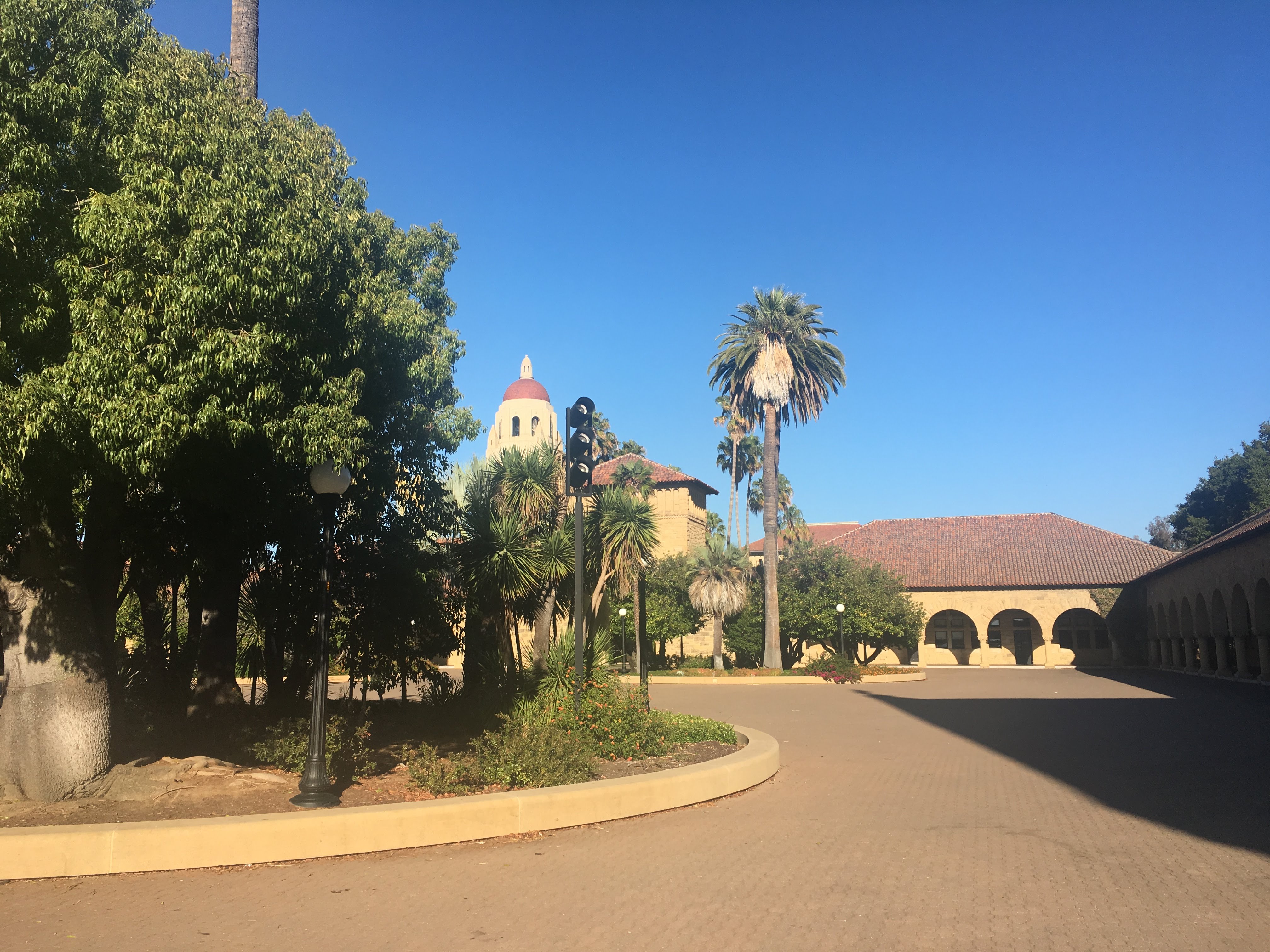 Stanford campus view with Hoover Tower, tall palm trees and arcaded sandstone buildings.