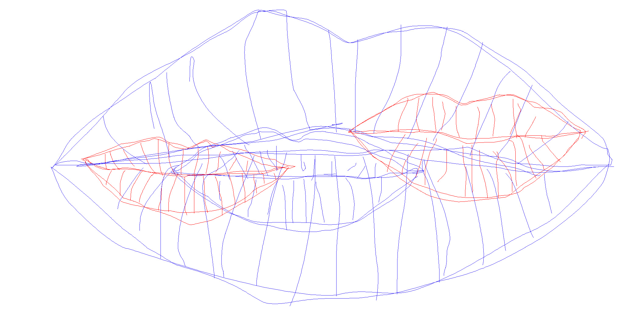 Hand-drawn line sketch of lips: a large blue outline with a smaller red pair drawn inside it.