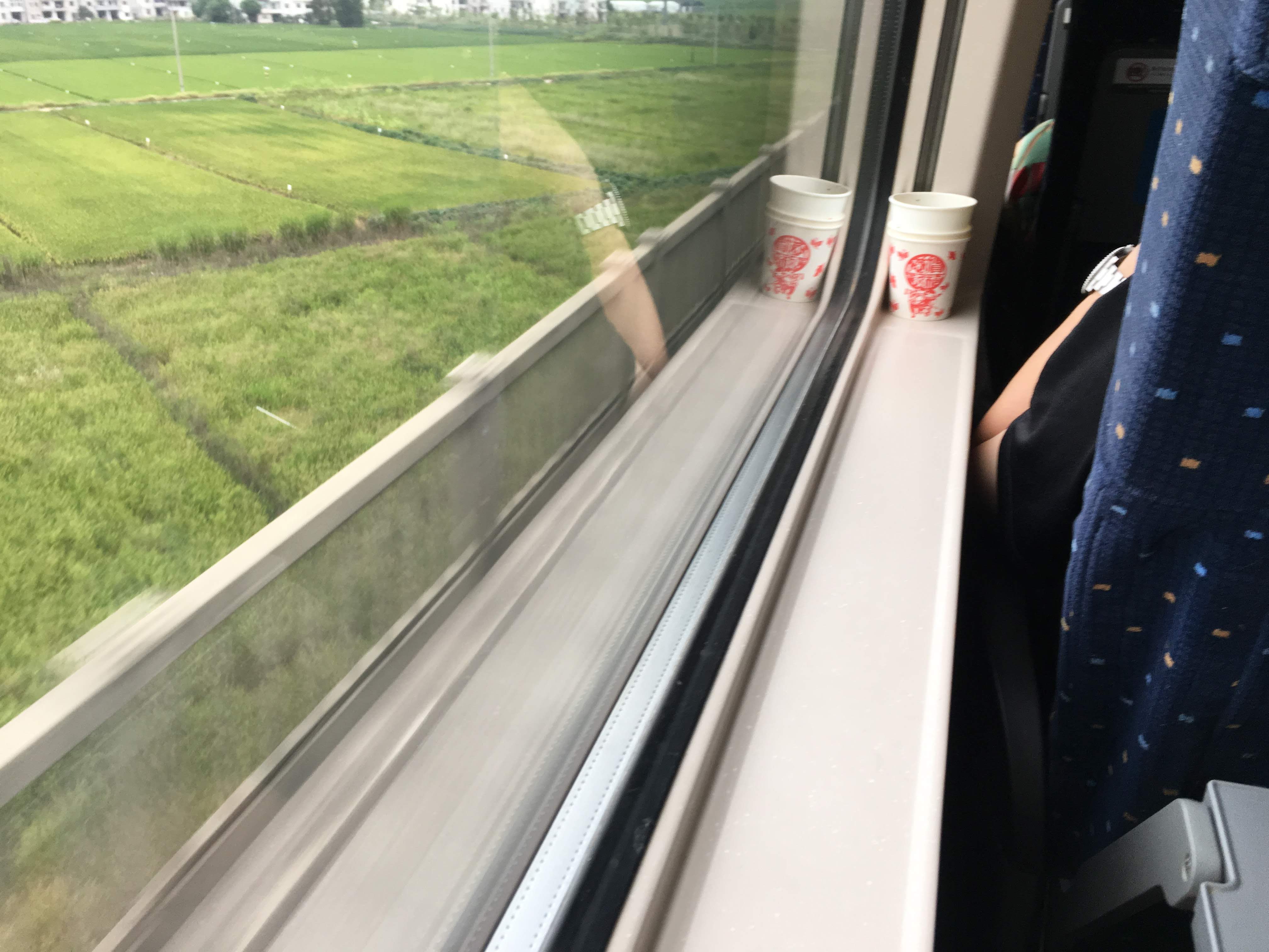 View from a moving train window over green rice paddies, with two paper cups on the windowsill.